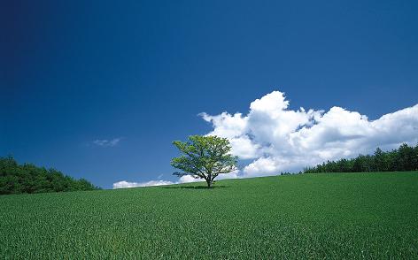 nature